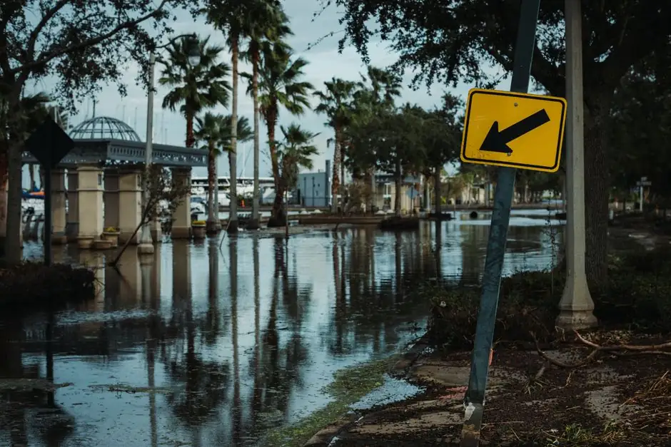 Emergency Water Damage Response